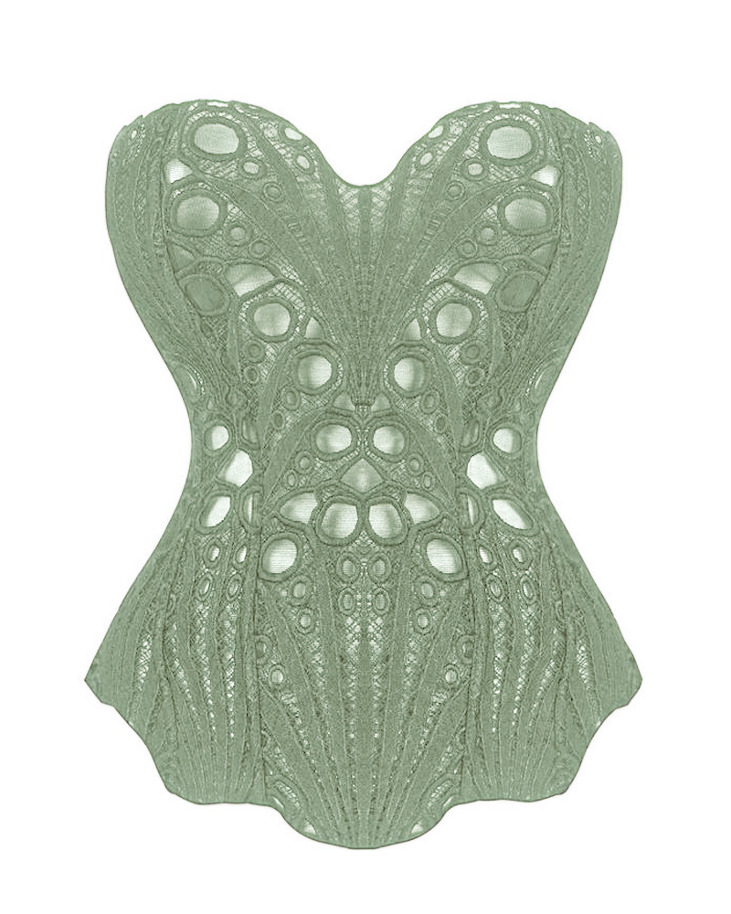 Lace Up Contrast Lace Corset Top Tummy Control Shapewear